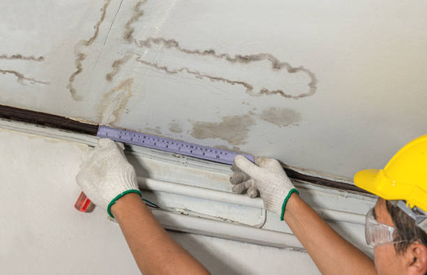 Reliable Mold Remediation contractor in Salina, KS by Water Damage Irwin